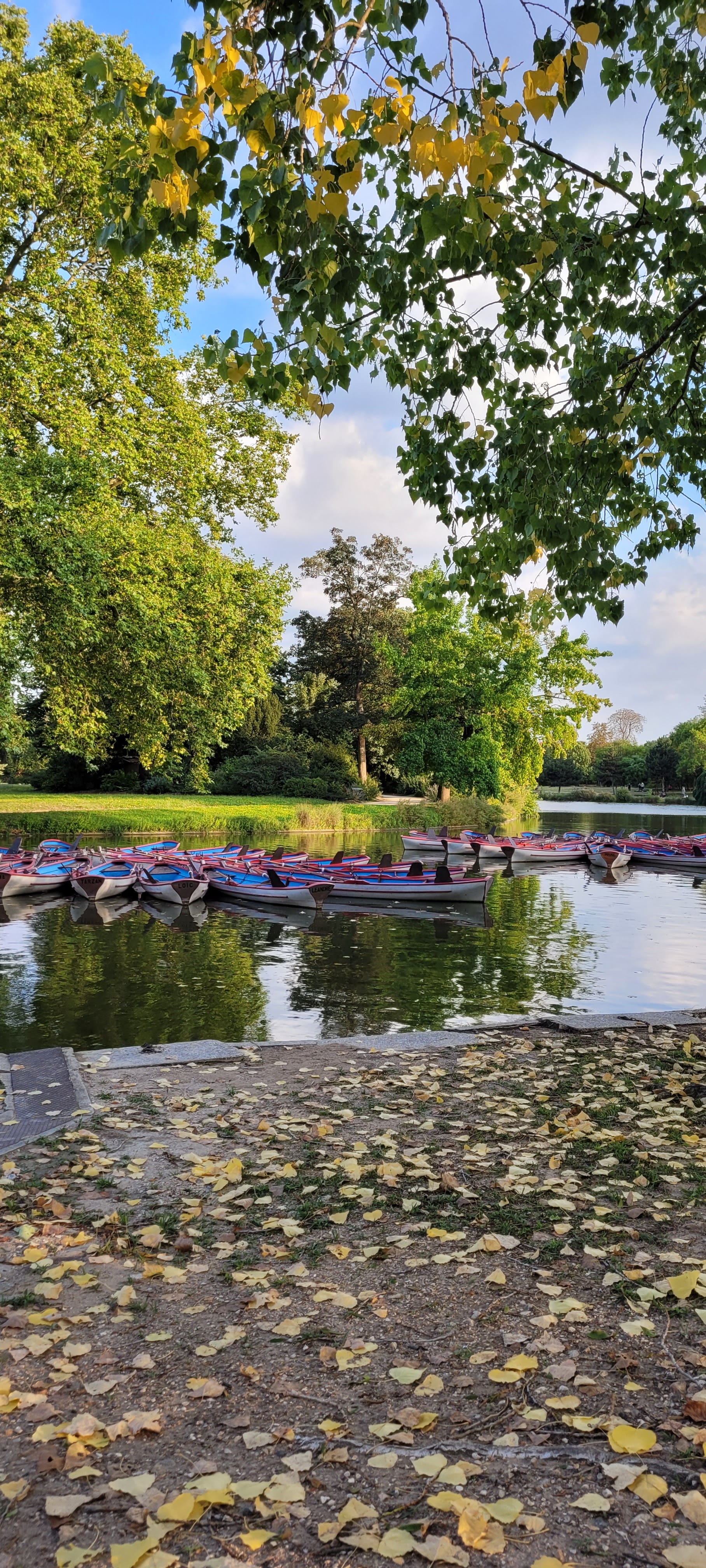 Photo n° 11 de l'avis de Siromiel.o fait le 21/08/2022 à 20:03