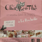 Photo n° 13 de l'avis de Carla.i fait le 24/05/2021 à 13:04 pour Le Chat’Ren’Thé - CatCoffee & Restaurant à La Rochelle