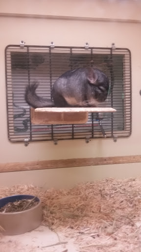 Pet Supply Store «OddBallPetFactory.com», reviews and photos, 8485 Plaza Blvd NE, Spring Lake Park, MN 55432, USA