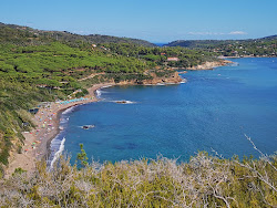Foto von Norsi beach mit geräumige bucht