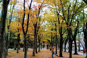 Ushikawayuho Park image