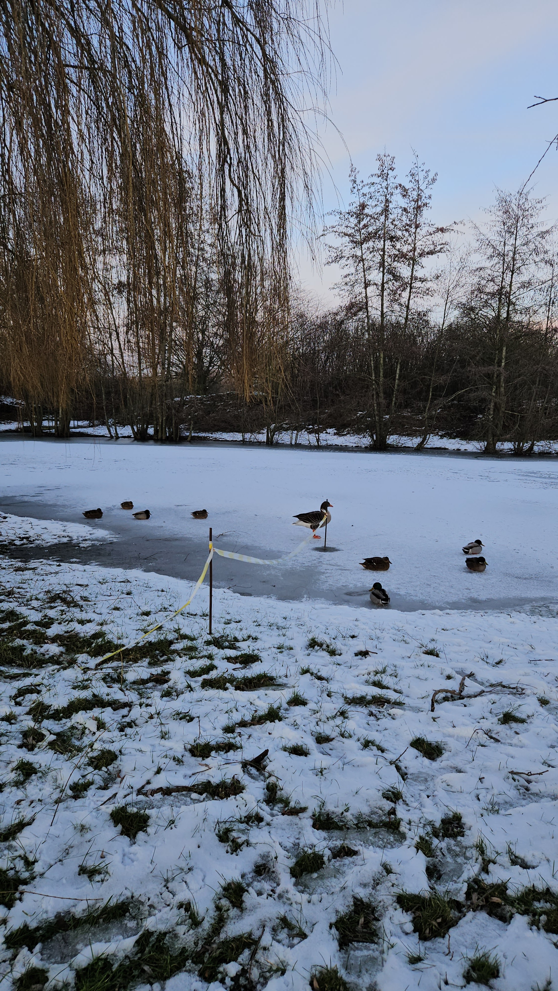 Photo n° 1 de l'avis de Modern.a fait le 24/01/2024 à 20:43