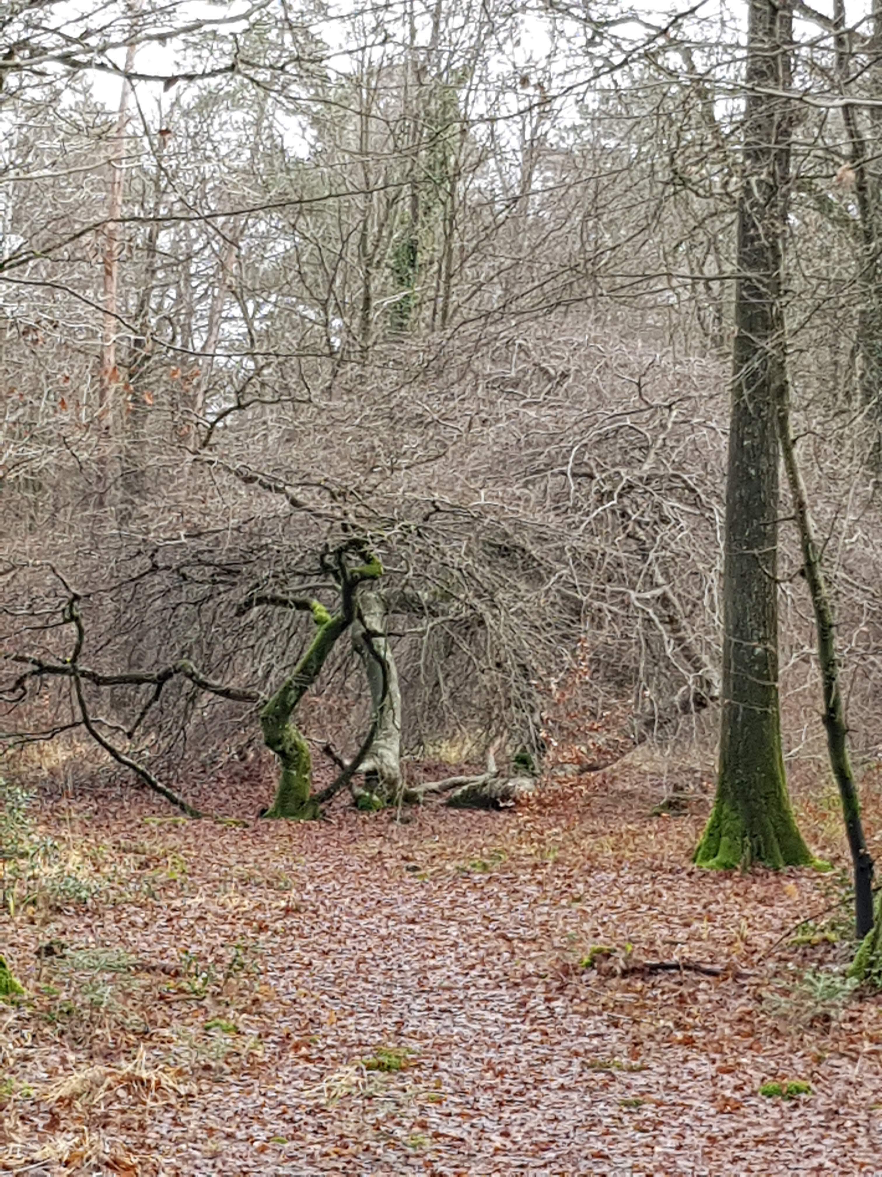 Photo n° 6 de l'avis de Max.o fait le 30/12/2019 à 07:02