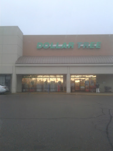 Dollar Store «Dollar Tree», reviews and photos, 28776 Gratiot Ave, Roseville, MI 48066, USA