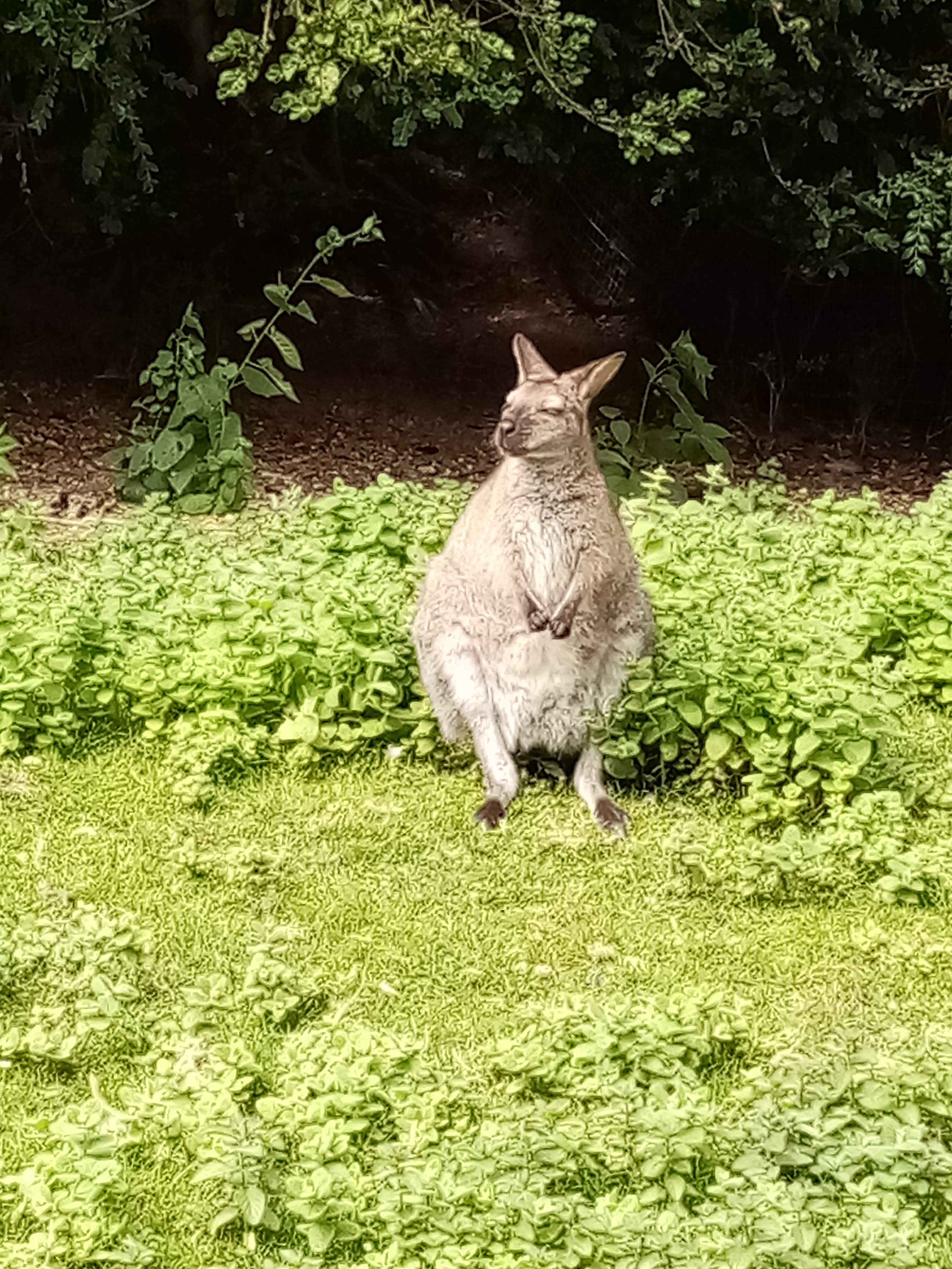 Photo n° 27 de l'avis de Marielaure.a fait le 25/07/2023 à 19:08