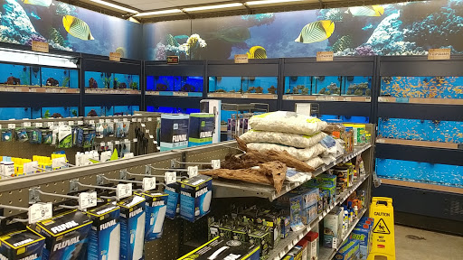 Pet Supply Store «Petco Animal Supplies», reviews and photos, 25451 Horace Harding Expy, Little Neck, NY 11362, USA