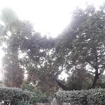 Photo n°1 de l'avis de Ivan.u fait le 13/08/2018 à 17:41 sur le  Residence Le Vele à Stintino