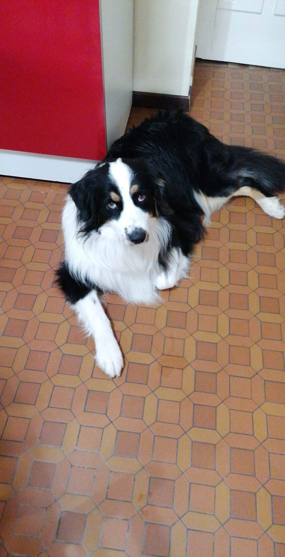 Photo n° 1 de l'avis de katia.I fait le 15/12/2022 à 10:12