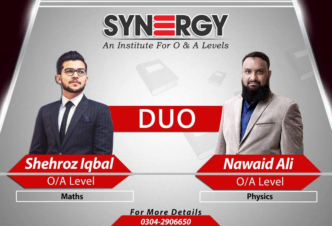 SYNERGY INSTITUTE FOR OA LEVELS