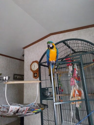 Pet Supply Store «Petco Animal Supplies», reviews and photos, 1520 Military Rd #130, Niagara Falls, NY 14304, USA