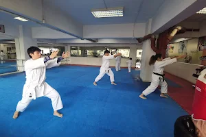 Executive Martial Arts Centre image