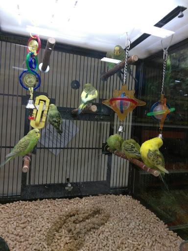 Pet Supply Store «PetSmart», reviews and photos, 1203 N Landing Way, Renton, WA 98057, USA