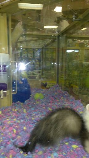 Pet Supply Store «Pet Supermarket», reviews and photos, 6307 N 9th Ave #1, Pensacola, FL 32504, USA