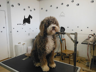 Bubbles Dog Grooming