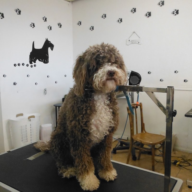 Bubbles Dog Grooming