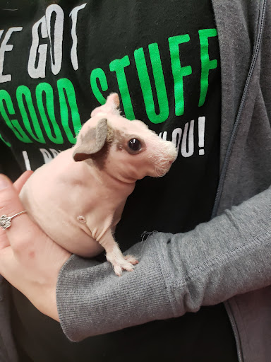 Pet Supply Store «Pet Supplies Plus», reviews and photos, 1168 Farmington Ave, Bristol, CT 06010, USA