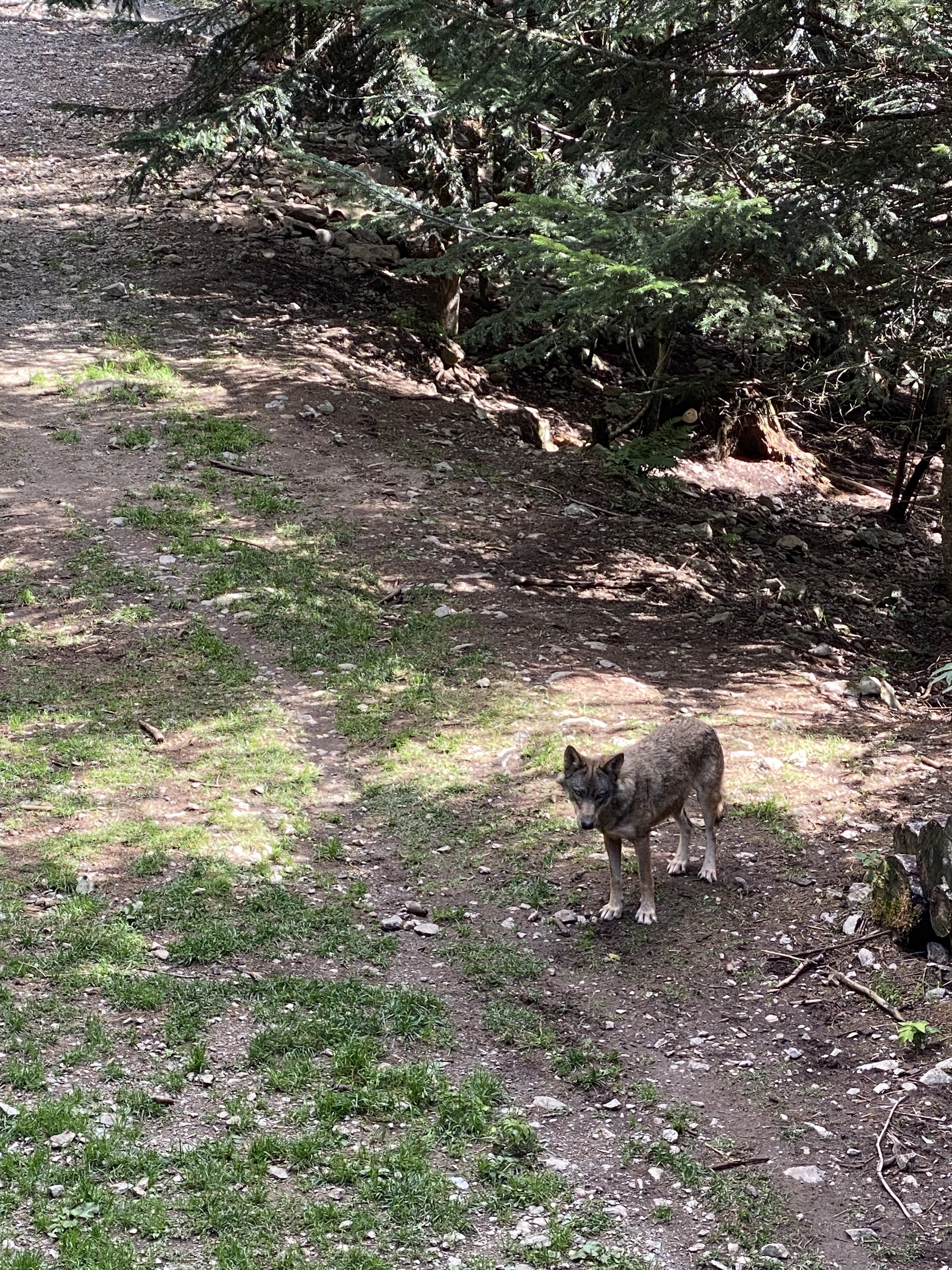 Photo n° 2 de l'avis de Karine.L fait le 01/10/2023 à 09:50