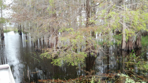 Boat Tour Agency «Alligators Unlimited Airboat Tours», reviews and photos, 14400 Reese Dr, Lake Wales, FL 33898, USA