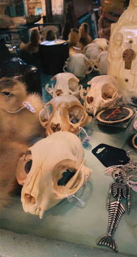 Consignment Shop «Baker Street Curiosity Shop», reviews and photos, 6780 Market St, Wilmington, NC 28405, USA