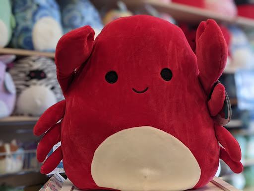 Toy Store «Learning Express», reviews and photos, 50 E Main St #5, Westborough, MA 01581, USA