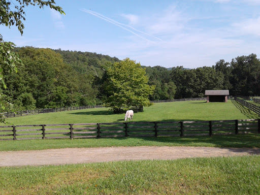 Nature Preserve «Kitchawan Preserve», reviews and photos, 712 Kitchawan Rd, Ossining, NY 10562, USA