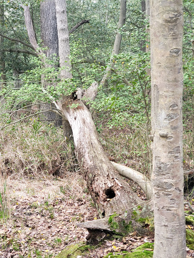 Park «Miami Beach Park», reviews and photos, 4001 Bay Dr, Middle River, MD 21220, USA