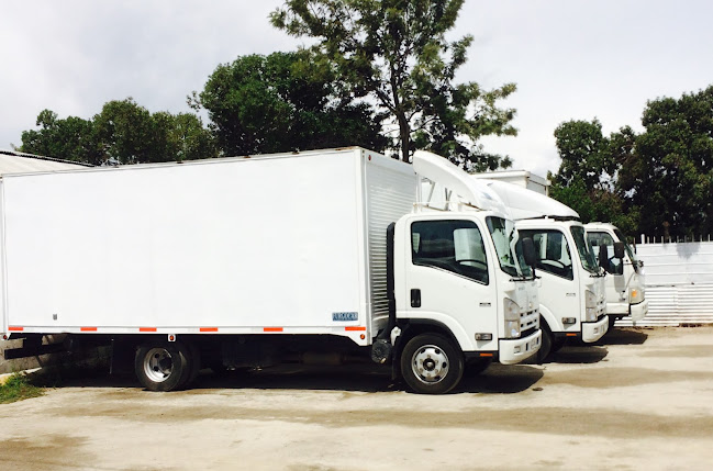 Opiniones de World Truck Ltda. en San Bernardo - Servicio de transporte