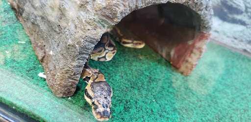 Pet Supply Store «Petco Animal Supplies», reviews and photos, 1680 Campbell Ln, Bowling Green, KY 42104, USA