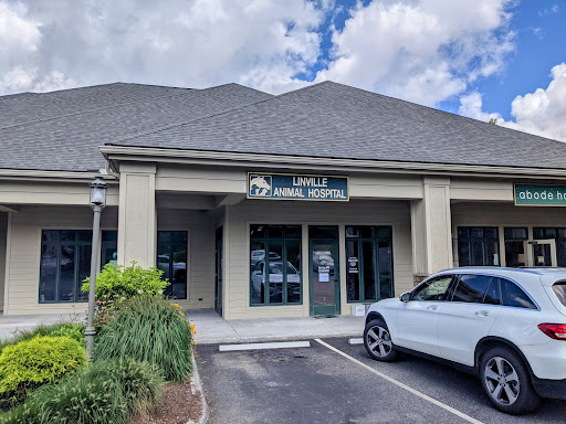 Linville Animal Hospital image