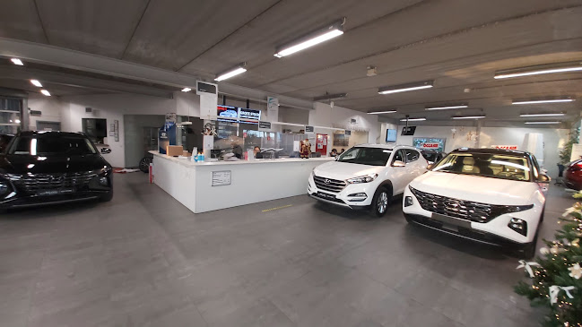 Beoordelingen van Hyundai MARO in Sint-Niklaas - Autodealer