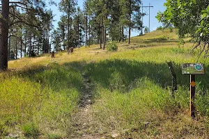Spearfish Canyon Disc Golf Course image