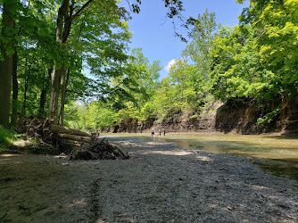 Maple Grove Picnic Area