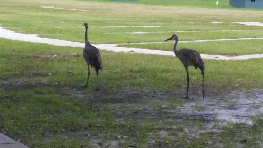 Golf Club «Silver Dollar Golf & Trap Club», reviews and photos, 12711 Silver Dollar Dr, Odessa, FL 33556, USA