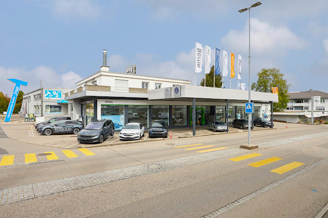 Rezensionen über AMAG Murten in Thun - Autohändler