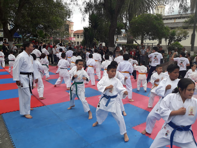 Opiniones de CLUB DE KARATE-DO "TIGRE" en San Miguel de Ibarra - Escuela