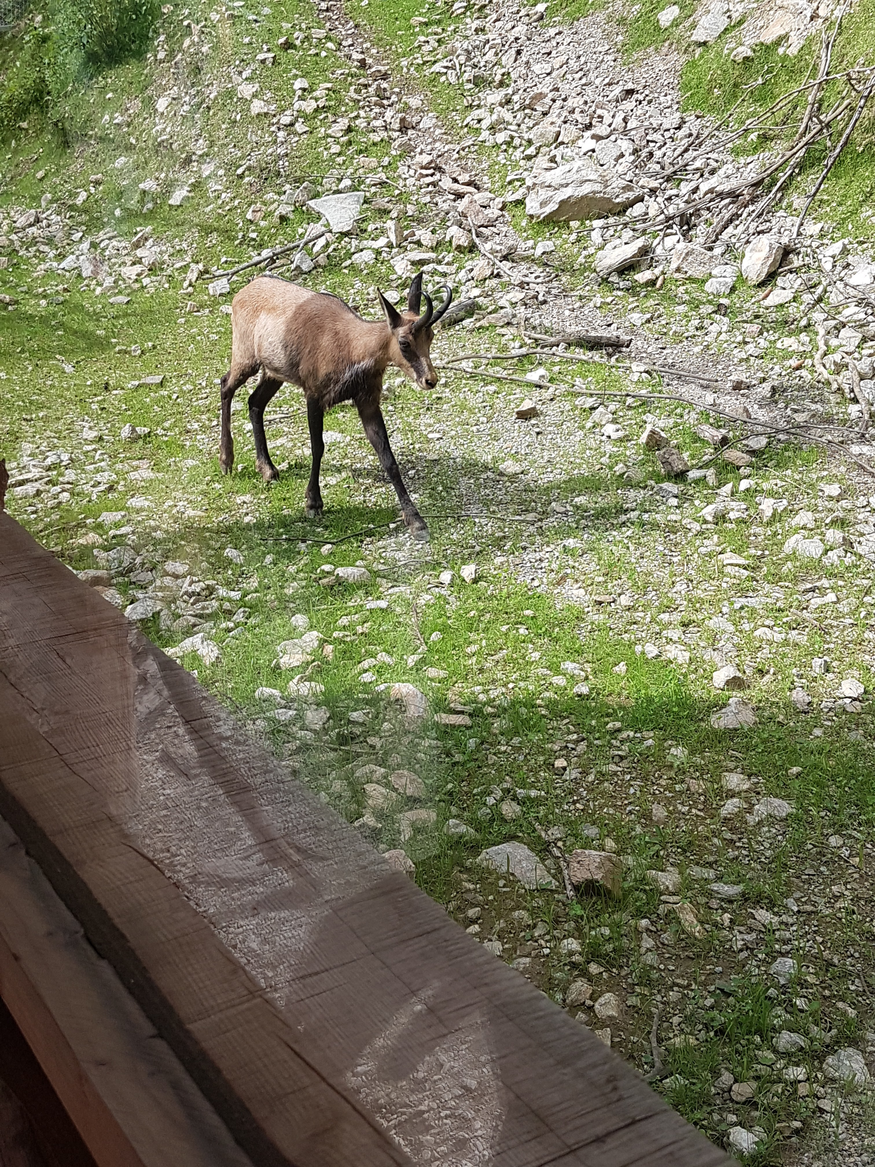 Photo n° 5 de l'avis de Ela.y fait le 18/08/2018 à 23:44