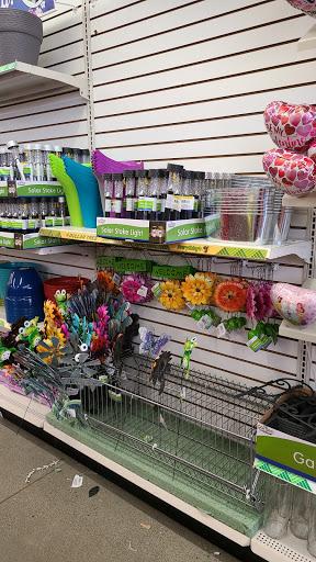 Dollar Store «Dollar Tree», reviews and photos, 7601 Evergreen Way, Everett, WA 98203, USA