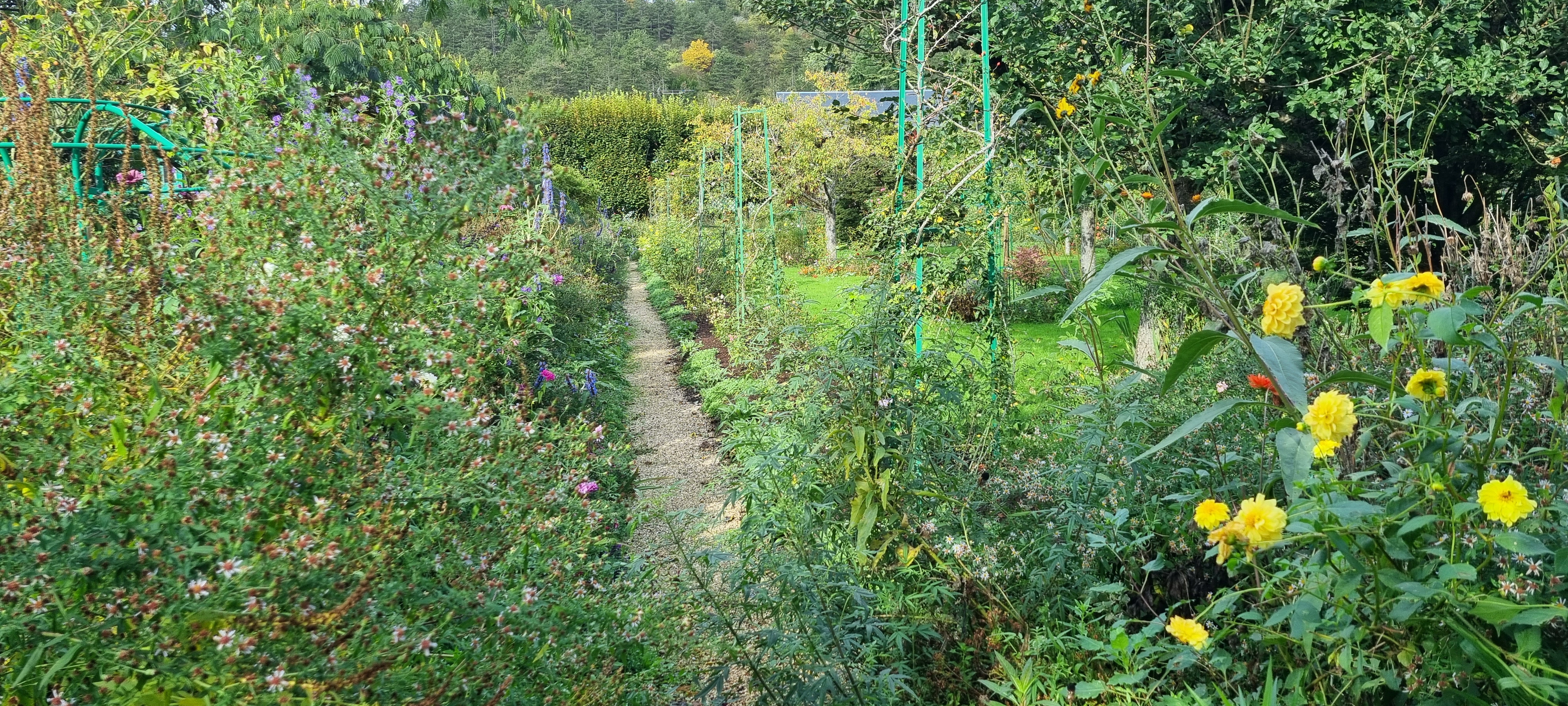 Photo n° 28 de l'avis de lemagicien40. fait le 03/11/2023 à 07:28