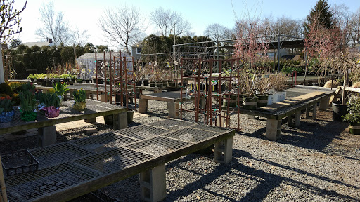Farm «Dreyer Farms», reviews and photos, 831 Springfield Ave, Cranford, NJ 07016, USA