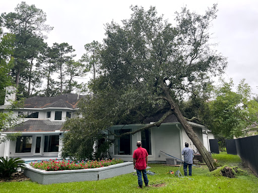 Nature's Tree Removal of Houston