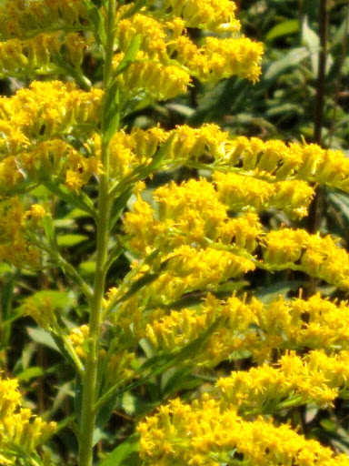 Tourist Attraction «South Shore Park», reviews and photos, 4555 Ragsdale Rd, Acworth, GA 30101, USA