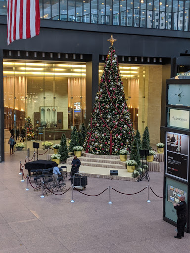 Shopping Mall «Gaviidae Common», reviews and photos, 651 Nicollet Mall #125, Minneapolis, MN 55402, USA