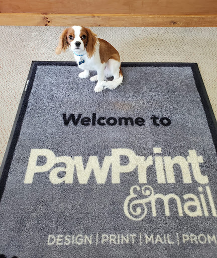Internet Marketing Service «Paw Print & Mail», reviews and photos, 12 Gregory Dr #8, South Burlington, VT 05403, USA