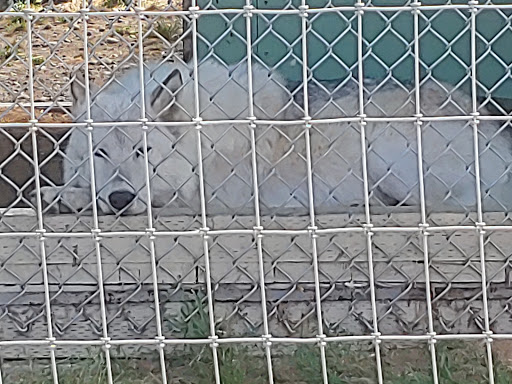 Casino «Kansas Star Casino», reviews and photos, 777 Kansas Star Drive, Mulvane, KS 67110, USA