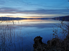 Sempach Stadt, Vogelwarte