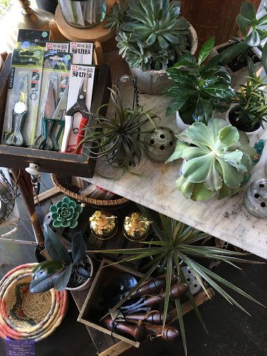 Store «Hops Petunia», reviews and photos, 73 Broadway, Kingston, NY 12401, USA