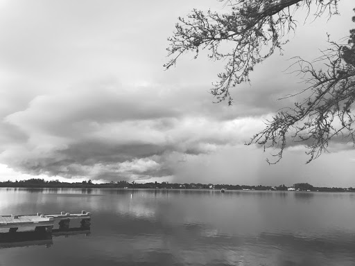 Coffee Shop «Starbucks», reviews and photos, 3604 84th Ave Cir E, Sarasota, FL 34243, USA