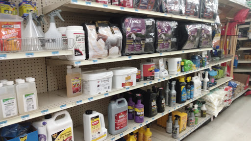 Home Improvement Store «Tractor Supply Co.», reviews and photos, 100 W Ardice Ave #1, Eustis, FL 32726, USA
