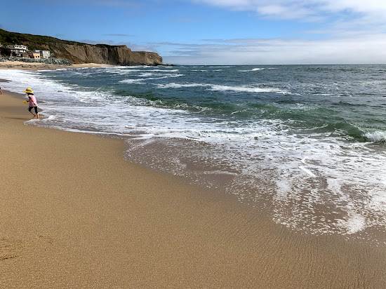 Martin's Beach