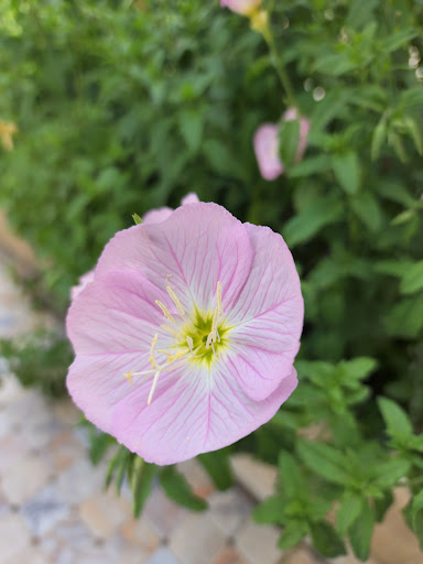 Thrift Store «Goodwill Denver - Broadway», reviews and photos, 21 S Broadway, Denver, CO 80209, USA